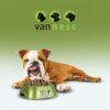 PLATO DE PLASTICO GDE 1.3 L - Image 2