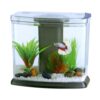 Mini acuario de escritorio BOYU DY-3, tapa transparente, filtro y lámpara.