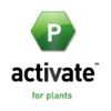 Activate (Fósforo) 350 ml. - Image 2