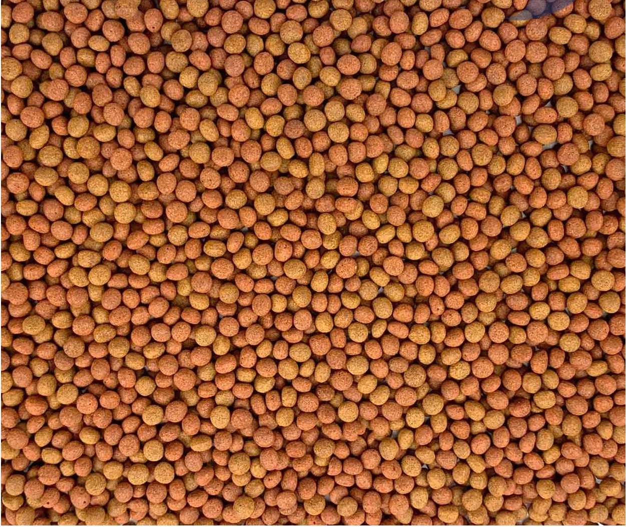 9 in 1 enhance color pellets (alimento color Mediano) 2000 ml / 950 g. - Image 4