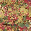9 in 1 ornamental fish flake (Hojuela agua dulce) 120 ml / 20 g. - Image 4