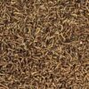 AZOO Blood worms (larvas de mosquito) 220 ml / 20 g. - Image 4
