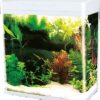 Acuario con filtro luminaria LED 32 l, BOYU MS-420M Blanco.