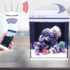 Acuario con filtro luminaria LED control WiFi 76 l, BOYU MEZ-76 Blanco. - Image 9