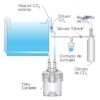 Glass CO2 Diffuser, difusor de vidrio externo de calidad Premium. - Image 8