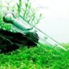 Trampa de cristal para planaria. - Image 5