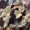 Roca dragón - Alveolate Aquarium Rock, kit 120L. - Image 4