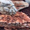 Pagoda ligera - Multilayer Aquarium Rock, kit 120L - Image 4