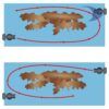 Switch intermitente, Generador de olas para 2 bombas BOYU JX-10 - Image 4