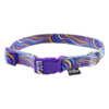 COLLAR XCH AQUA POP P/PERRO GALERIA - Image 3