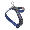 ARNES CH AZUL BERRYDOG P/MASCOTA - Image 2