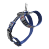 ARNES CH AZUL BERRYDOG P/MASCOTA - Image 3