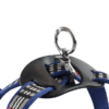 ARNES CH AZUL BERRYDOG P/MASCOTA - Image 5