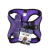 SET ARNES Y CORREA SPORTIE INT VIOLETA