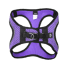 SET ARNES Y CORREA SPORTIE INT VIOLETA - Image 6