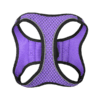 SET ARNES Y CORREA SPORTIE INT VIOLETA - Image 7
