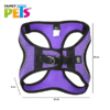 SET ARNES Y CORREA SPORTIE INT VIOLETA - Image 5
