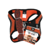SET ARNES Y CORREA SPORTIE CH NARANJA