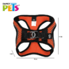SET ARNES Y CORREA SPORTIE CH NARANJA - Image 5