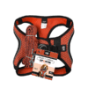 SET ARNES Y CORREA SPORTIE INT NARANJA