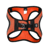 SET ARNES Y CORREA SPORTIE INT NARANJA - Image 2