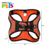 SET ARNES Y CORREA SPORTIE INT NARANJA - Image 8