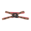 ARNES GDE ROJO BERRYDOG P/MASCOTA