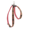 ARNES GDE ROJO BERRYDOG P/MASCOTA - Image 3