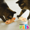 JUGUETE 2 PACK SOUND C/CATNIP - Image 7