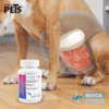 MS CARBODETOX TABLETAS MASTICABLES P/PERROS 60 TAB - Image 7
