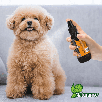 COLONIA HOLISTIC VITALIDAD P/ PERROS 120 ML - Image 2