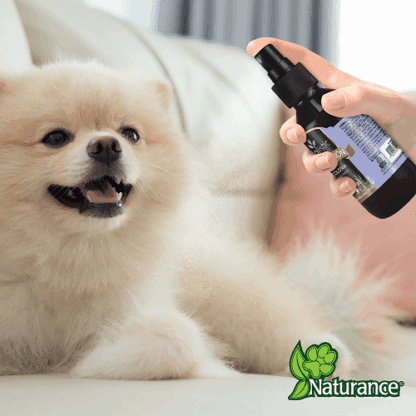 COLONIA HOLISTIC RELAJACIÓN P/ PERROS 120 ML - Image 6