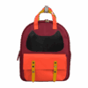 TRANSPORTADORA P/GATO URBAN ROJA