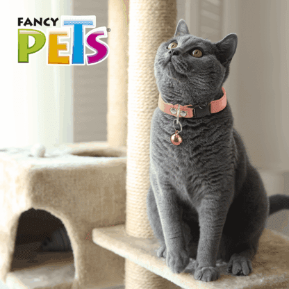 COLLAR ELASTICO C/CASCABEL PARA GATO - Image 2