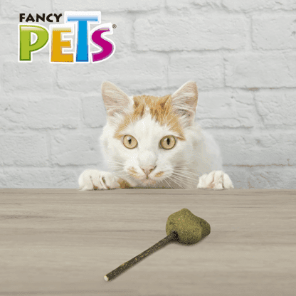 PALETA DE CATNIP GATO - Image 7