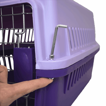 TRANSPORTADORA GALLERY CH MORADO. - Image 2