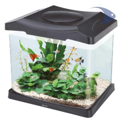 Mini acuario de escritorio DSN-315, con tapa, filtro y lámpara 16 Litros.