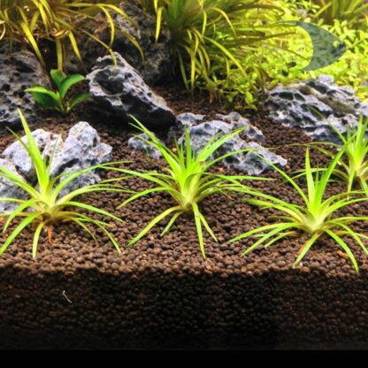 AZOO Plant Grower Bed - Image 3
