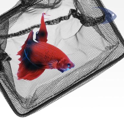 Fish Net 8.5cm / 3" red de malla fina - Image 5