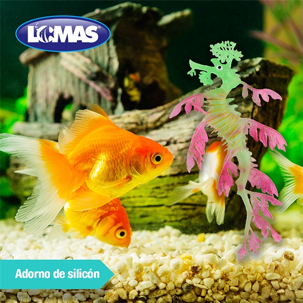 PEZ DRAGON FLUORESCENTE COLORES SURTIDOS - Image 3