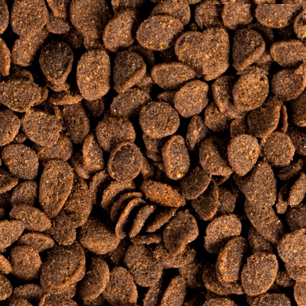 Pellet de crecimiento Apex Goldfish 50g. - Image 3