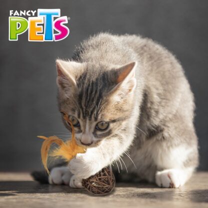 JUGUETE ESFERA DE CATNIP CON PLUMAS - Image 6