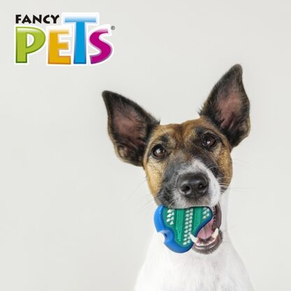 JUGUETE FILETE DENTAL C/CERDAS PERRO - Image 5