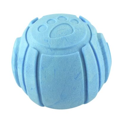 PELOTA PAWPY FETCH - Image 4