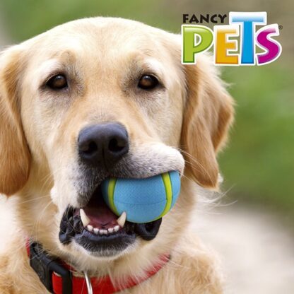 PELOTA SPORT FETCH - Image 4