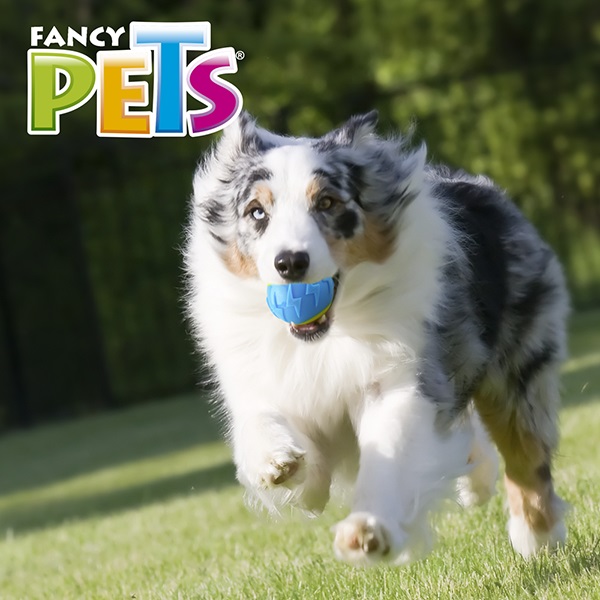 PELOTA FLASH C/SONIDO FETCH - Image 4
