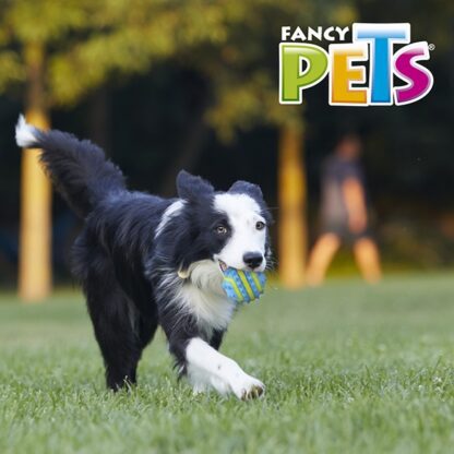 PELOTA SPIKY MED FETCH - Image 4