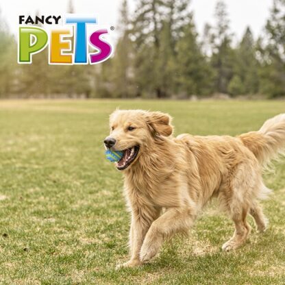 PELOTA SPIKY GDE FETCH - Image 4