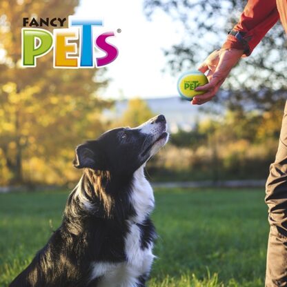 PELOTA DE TENIS MED FETCH - Image 4