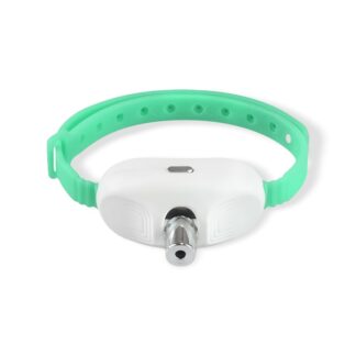 JUGUETE COLLAR PUNTERO LASER GATO